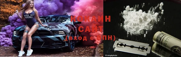 шишки Пересвет