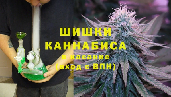 ГАЛЛЮЦИНОГЕННЫЕ ГРИБЫ Осташков