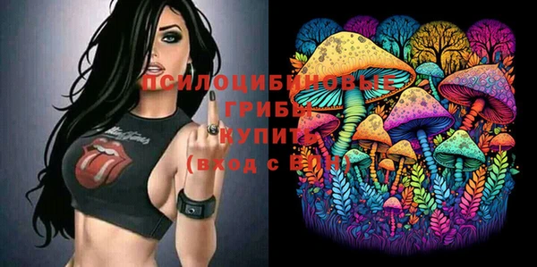 ГАЛЛЮЦИНОГЕННЫЕ ГРИБЫ Осташков