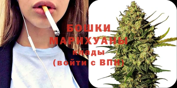 дурь Осинники