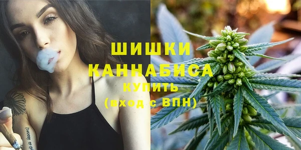 дурь Осинники