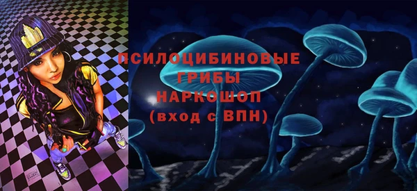 шишки Пересвет