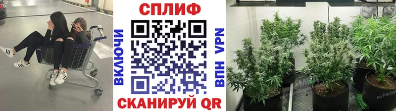 где купить наркоту  Чебаркуль  MEGA ссылки  Марихуана индика 